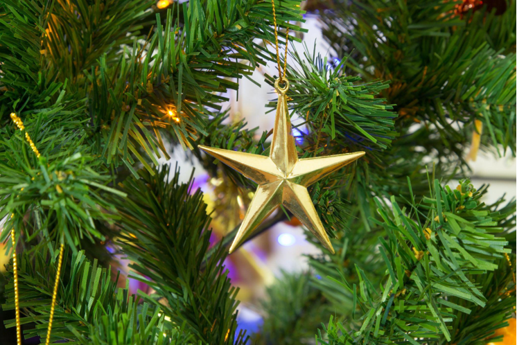 Get in the Holiday Spirit with Christmas Trees for Sale and Glass Ornaments